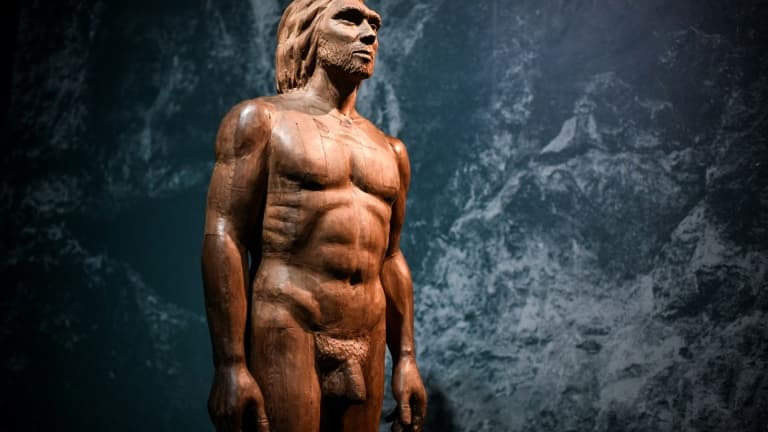 Une reconstitution de l'homme de Néandertal lors de l'exposition consacacrée à Néandertal au Musée de l'Homme à Paris le 26 mars 2018 (photo d'illustration)