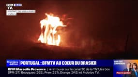 "On essaie de sauver la maison de notre ami": dépassé par les feux de forêts, le Portugal est en alerte jusqu'à jeudi
