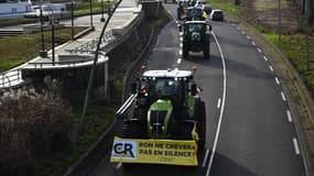 Le convoi des agriculteurs du syndicat Coordination rurale du Lot-et-Garonne peu après leur départ d'Agen pour "bloquer Rungis" le 29 janvier 2024