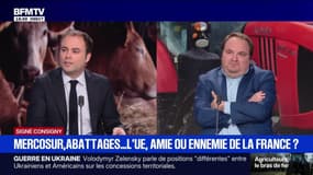 Marschall Truchot : Mercosur, abattages... L'UE, amie ou ennemie de la France ? - 15/12