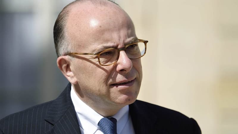 Choc, un chien qui fait des merveilles dans la recherche de drogue, a été distingué mardi à Marseille - Mardi 29 mars 2016