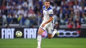 Edin Dzeko - Bosnie