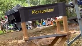 Image du tournage du film "Le Marsupilami", en juillet 2024.