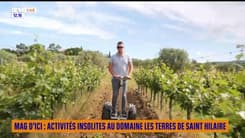 Mag d'ici : activités insolites au domaine Les Terres de Saint Hilaire