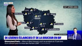 Météo Paris-Ile-de-France: quelques éclaircies pour ce mercredi mais les nuages prédomineront