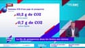 La Minute Conso : La fin du prospectus dans les boîtes aux lettres - 24/08