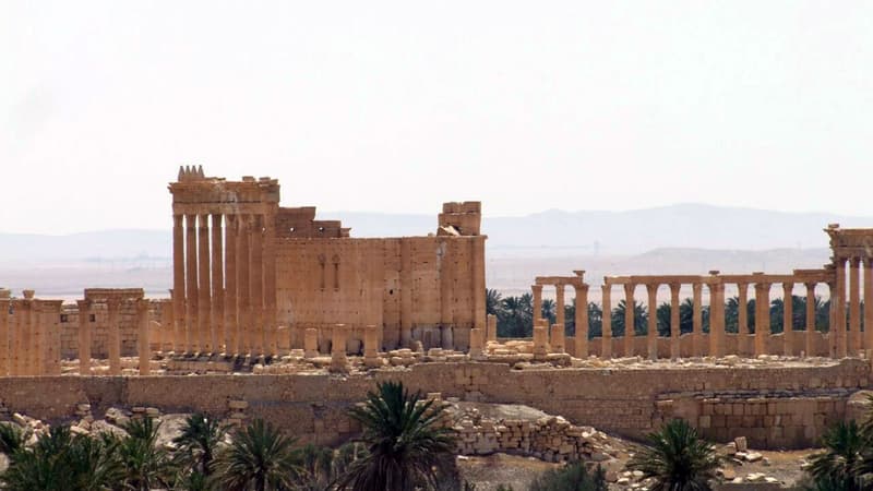 La cité de Palmyre, trésor antique en Syrie, est menacée de destruction par le groupe Etat islamique.