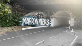 La cité des Marronniers à Marseille.