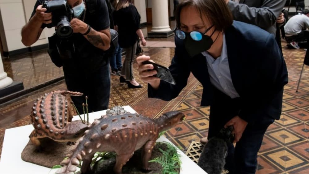 Découverte d'un nouveau dinosaure... à la queue inédite
