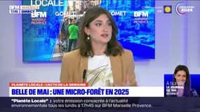 Planète Locale du lundi 17 juin - Belle de Mai, une micro-forêt en 2025 