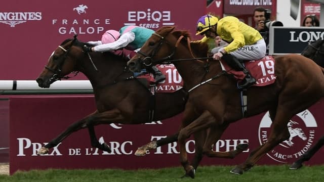 Quinze partants dont la championne Enable