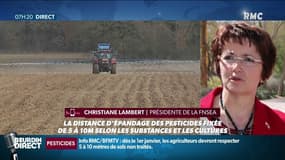 Distance d'épandage des pesticides: la présidente de la FNSEA dénonce "l'extrémisation" militante sur ce sujet