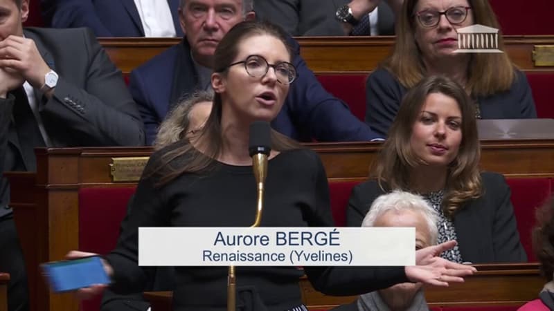 Aurore Bergé aux députés de la Nupes: 