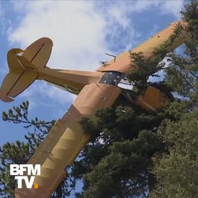 Un pilote atterrit malencontreusement dans un arbre aux États-Unis