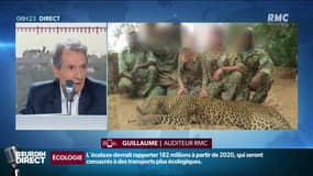 Les gérants d'un Super U du Rhône posent avec des cadavres d'animaux: la polémique fait réagir les auditeurs de RMC