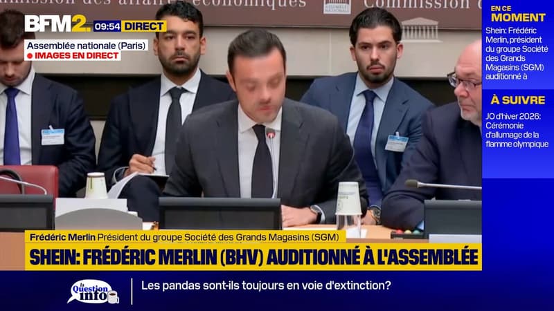 Shein: "nous culpabilisons beaucoup trop le consommateur", estime le patron du BHV
