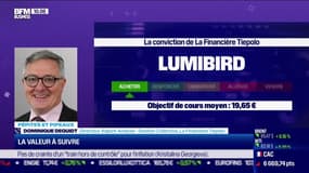 Pépites & Pipeaux: Lumibird - 18/10