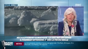 #Climat : "Les vagues de chaleurs comme celle de 2003 vont devenir juste normales"