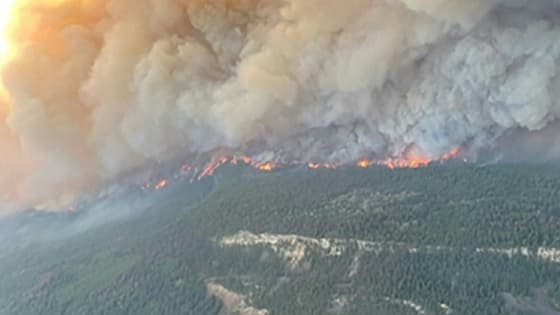 L'incendie de Sparks Lake, en Colombie-Britannique (Canada), le 29 juin 2021