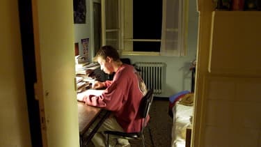 La start-up nantaise StudyEnjoy espère atteindre rapidement le seuil des 15.000 membres.