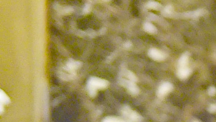 Donald Trump et Kanye West, à New York le 13 décembre 2016; Donald Trump et Kanye West, à New York le 13 décembre 2016;