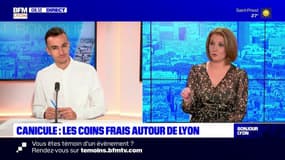 Canicule : les coins frais autour de Lyon, première partie