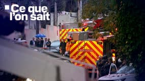 Des pompiers se rendent sur les lieux d'un crash d'avion à Vinhedo, au Brésil, le 9 août 2024
