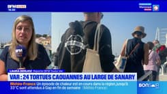 JT du Sud du mercredi 11 juin