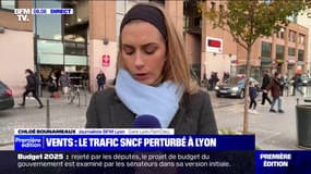 Rhône: de nombreuses lignes TER interrompues à cause du vent