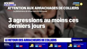 Lyon: les vols de colliers de retour dans la métropole