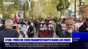 Lyon: près de 2000 manifestants dans les rues 