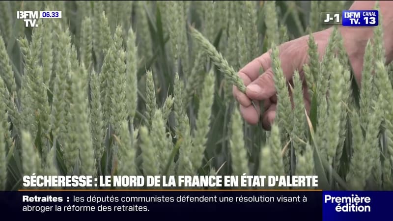 Sécheresse: le nord de la France en état d'alerte