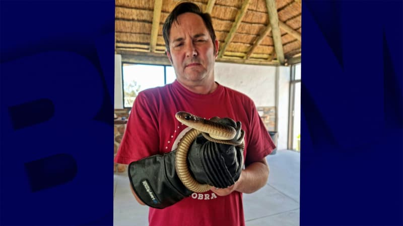 Gerrie Heyns avec le serpent recueilli chez les Wild.