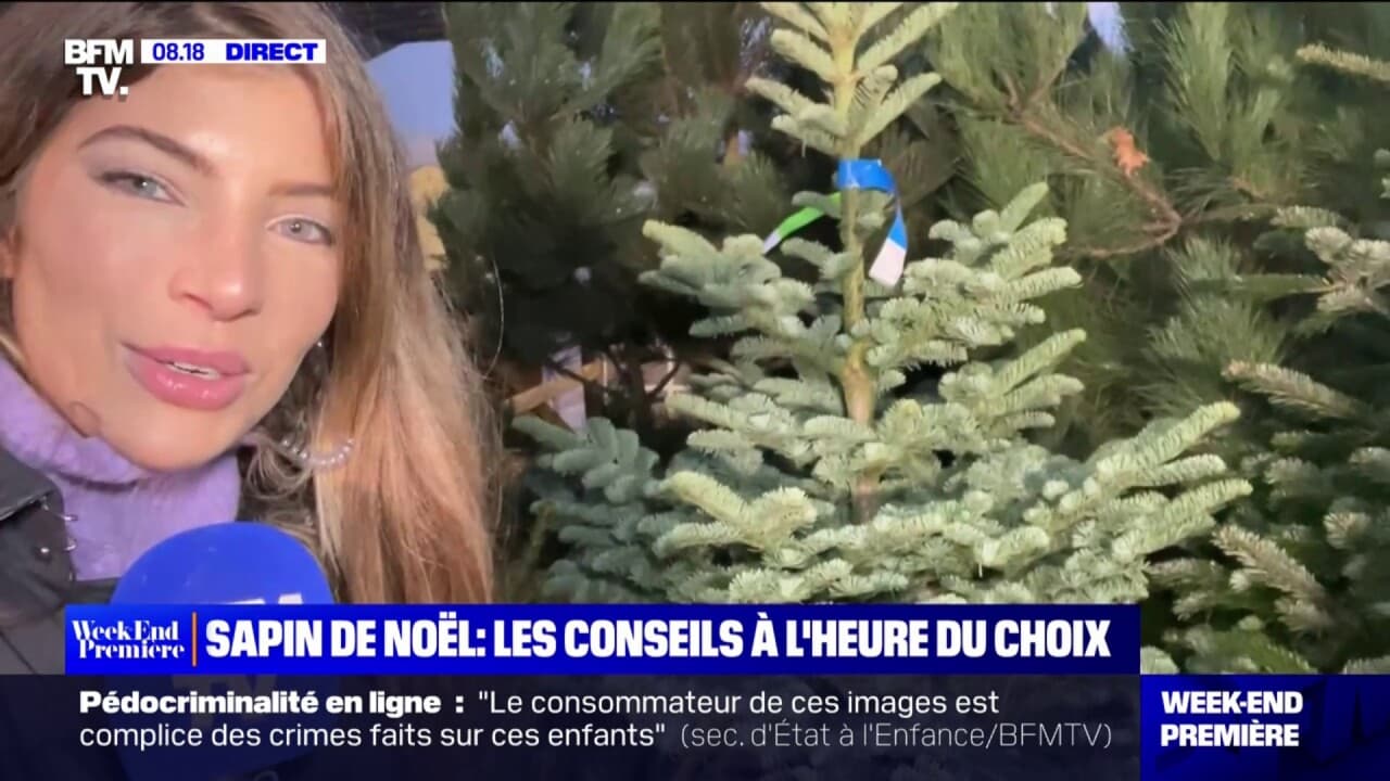 Sapin de Noël les conseils pour bien le choisir