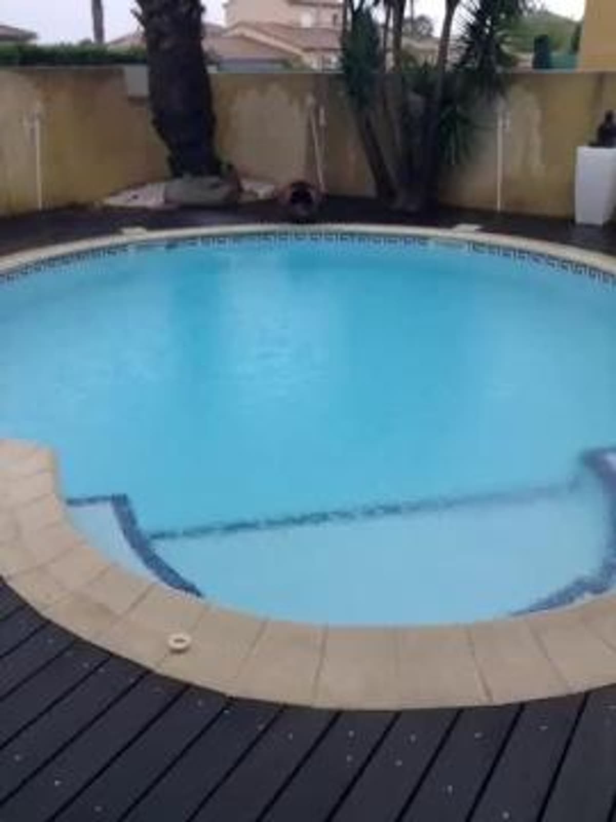 placeholder video