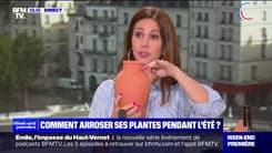 Comment arroser ses plantes pendant l'été ? - 29/06