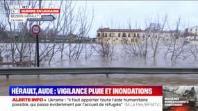 Inondations: l'Orb en crue est sorti de son lit à Béziers