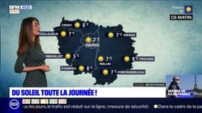 Météo Paris-Ile de France du 15 mai: Du soleil toute la journée