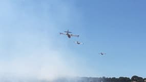 Intervention en cours avec l'assistance des canadairs à Saint-Mandrier-sur-Mer - Témoins BFMTV