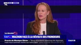 Loi immigration: Violette Spillebout (députée Renaissance du Nord) affirme recevoir des "menaces sur les réseaux sociaux"