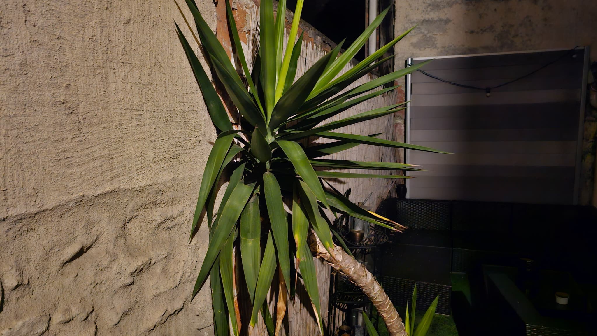Photo prise en très faible éclairage avec le Galaxy S23 Ultra de Samsung