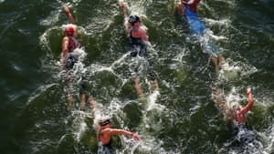 Les nageuses du 10 km marathon en eau libre, JO de Paris 2024, 8 août 2024