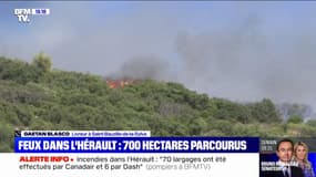 Incendies dans l'Hérault: "L'hélicoptère tournait autour de moi et est descendu un peu pour me faire comprendre qu'il fallait que je parte", raconte un livreur