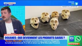 BFM Marseille et vous: que deviennent les produits saisis par les douanes?