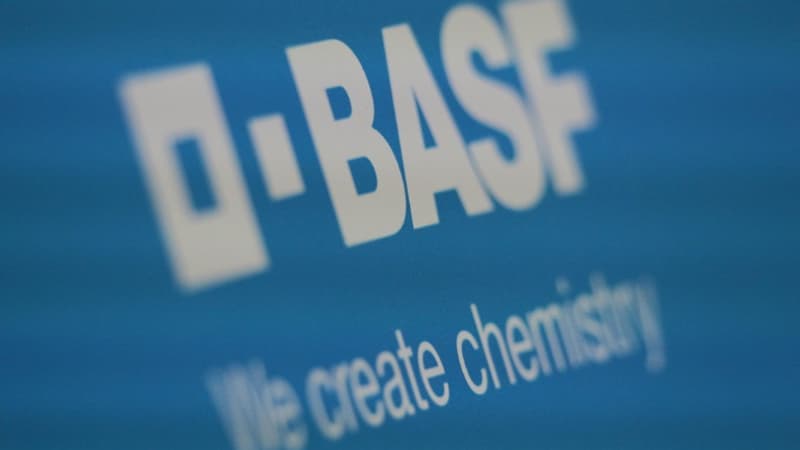 L'allemand BASF va céder la majorité de son activité de revêtements pour automobile et va empocher 5,8 milliards d'euros