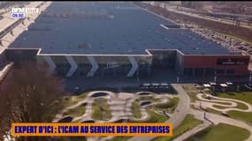 Expert d'ici : l'Icam au service des entreprises