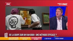 De la soupe sur un Van Gogh : Une méthode coup-de-poing efficace ? Willy Schraen : "Demain, on tuera des gens !"
