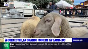 Hautes-Alpes: à Guillestre, le retour de la grande foire de la Saint-Luc