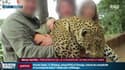 Photos polémiques de safari: les gérants du super U auraient payé 50.000 euros pour plusieurs voyages en Afrique