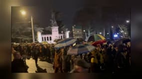 Les visiteurs ont été nombreux à vouloir se rendre au parc de la Tête d'or ce week-end pour la Fête des lumières et ont dû attendre pendant plusieurs heures.